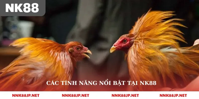 Các tính năng nổi bật tại Nk88